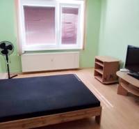 Ložnice v dvoupokojovém bytě s postelí, televizorem a ventilátorem v rohu místnosti.