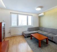 Obývací pokoj ve 3-pokojovém bytě, šedá sedačka, dřevěný stolek, barevná tapeta.