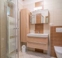 Koupelna v Rekreačním apartmánu s dřevěným nábytkem a sprchovým koutem.