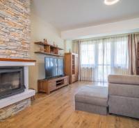 Obývací pokoj v rekreačním apartmánu s krbem, gaučem a velkým oknem.