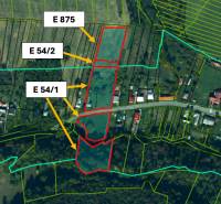 Mapa katastrálního území Ladomirová zobrazující zemědělské a lesní pozemky s parcelami E 875, E 54/2, E 54/1.