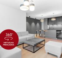 Obývací pokoj s kuchyní v 2pokojovém bytě, šedé odstíny, dřevěná podlaha, elegantní svítidla.