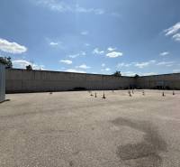 IMG_1517 12.19.37.JPG