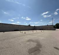 IMG_1518 12.19.37.JPG