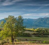 Krajina zemědělských a lesních pozemků u Sučan s panoramatem hor a stromem v popředí.