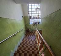 Schodiště v rodinném domě se zelenými stěnami a šachovnicovou dlažbou.