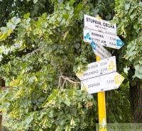 Turistické rozcestníky obklopené listím v Zahradách Malacek, ukazující turistické trasy.