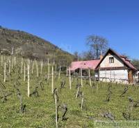 Chata s červenou střechou obklopená vinicí, kopce na obzoru. Zvláštní nemovitosti.