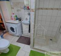 Koupelna v rodinném domě se sprchou a pračkou, vedle je toaleta.