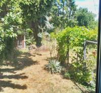 Útulná zahrada rodinného domu v Potzneusiedlu s bujnou vegetací a stromy.