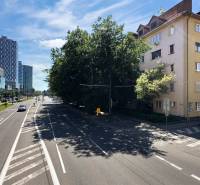Cesty a budovy na Karadžičově ulici v Bratislavě - Staré Město, obklopené zelení.