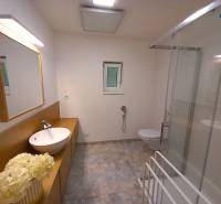 Koupelna rodinného domu s umyvadlem, sprchou a WC, na desce dekorativní květiny.
