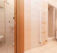 Koupelna v 1-pokojovém bytě s WC, umyvadlem a sprchovým koutem, světlé dlaždice.
