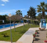 Bazén s palmami a zelení v oblasti ulice cl. Aquiles, Torrevieja.