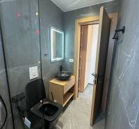 Koupelna v rekreačním apartmánu s černým sanitárním zařízením a dřevěným nábytkem.