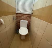 WC v třípokojovém bytě s hnědými dlaždicemi a oknem.