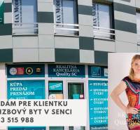 Nabídka realitní kanceláře v Senci na 1-pokojový byt, kontakt: 0903 515 988.