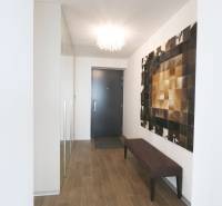 Chodba v 3-pokojovém bytě s podlahou s dřevěným dekorem a elegantním osvětlením.