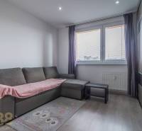 Obývací pokoj ve 3-pokojovém bytě s pohovkou, kobercem a šatní skříní.