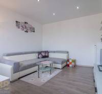 Obývací pokoj v 3-pokojovém bytě s pohovkou, TV stolkem a dekoracemi.