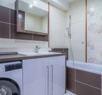 Koupelna ve 3-pokojovém bytě se sprchovým koutem, pračkou a umyvadlovou skříňkou.