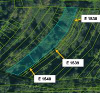 Katastrální mapa zobrazující zemědělské a lesní pozemky u Omastiné s parcelními čísly.