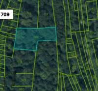 Katastrální mapa zemědělských a lesních pozemků v Omastině.