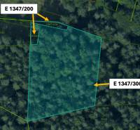 Katastrální mapa s parcelami v Omastiné, zemědělské a lesní pozemky.