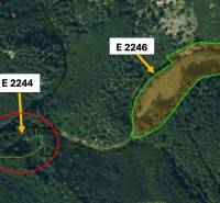 Letecká mapa zemědělských a lesních pozemků blízko Omastiné, označené plochy E 2244 a E 2246.
