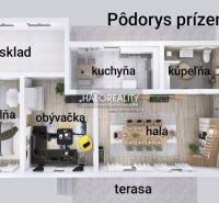Půdorys přízemí rodinného domu: ložnice, obývací pokoj, kuchyň, koupelna, sklad, hala, terasa.