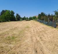 Rovinaté pozemky - komerční ve městě Sládkovičovo, ulice Sládkovičovo, se zelení po stranách.