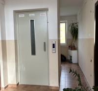 Interiér 2pokojového bytu s výtahem, rostlinami a světlem z okna na chodbě.