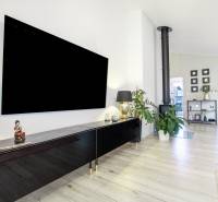 Moderní interiér obývacího pokoje v rodinném domě s krbem, rostlinami a velkou televizí.