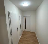 Chodba v 2-pokojovém bytě s dřevěnou podlahou a bílými dveřmi.