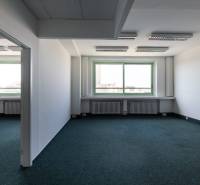 Priestranné kanceláře s velkým oknem a kobercem, s dostatkem přirozeného světla.