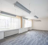 Prostorné kanceláře se závěsnými svítidly a vertikálními žaluziemi.