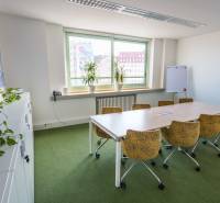 Kanceláře se stolem a židlemi, zelení a oknem s výhledem na město.