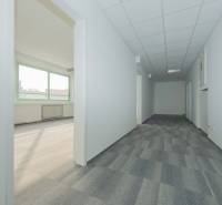 Samozřejmě, poskytněte mi prosím text, který chcete přeložit do češtiny.