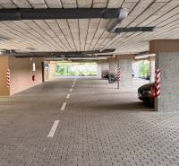 Parkovací místa v garáži s autem, kolem a betonovými sloupy.