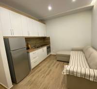 Rekreační apartmán s kuchyňskou linkou, lednicí a pohodlnou pohovkou na dřevěné podlaze.