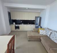 Rekreační apartmán s kuchyňskou linkou, pohovkou a jídelním stolem.
