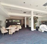 Interiér obchodních prostor s nábytkem a rostlinami, místnost je prostorná a světlá.