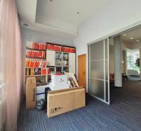 Obchodní prostory s kartotékou a balíky v kanceláři, prosvětlené velkými okny.