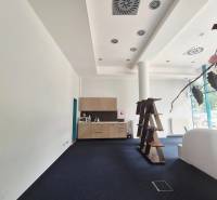 Interiér obchodních prostor s kuchyňkou a poličkou v Bratislavě.