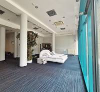 Obchodní prostory s postelí, vysokými sloupy a velkými okny.