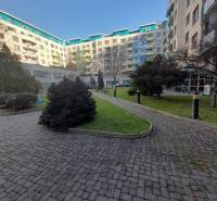 Samozřejmě, poskytněte prosím text, který chcete přeložit do češtiny.