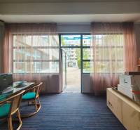 Obchodní prostory s prosklenou stěnou, počítačem, stolem a regálem se šanony.