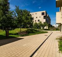 Chodník na Strážovské ulici v Košicích - městské části Západ lemovaný stromy a budovami.
