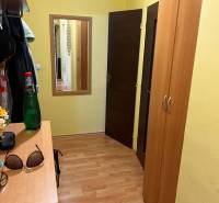 Chodba ve 3-pokojovém bytě s dřevěnou podlahou, vestavěnou skříní a zrcadlem.