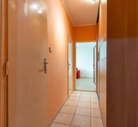 Chodba s oranžovými stěnami, dlažbou a dveřmi do pokoje v 1-pokojovém bytě.